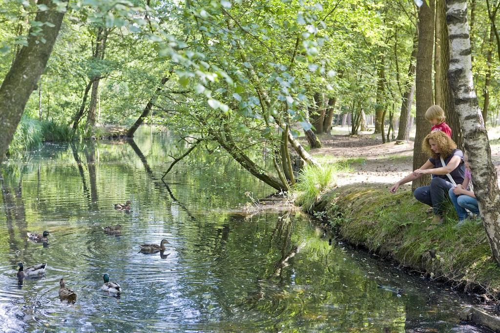 Center Parcs Meerdal Limburg-Brabant Америка Экстерьер фото