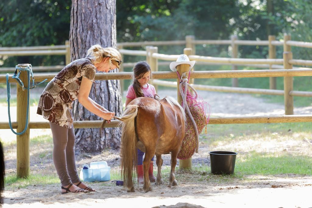 Center Parcs Meerdal Limburg-Brabant Америка Экстерьер фото