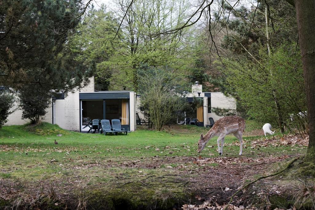 Center Parcs Meerdal Limburg-Brabant Америка Номер фото